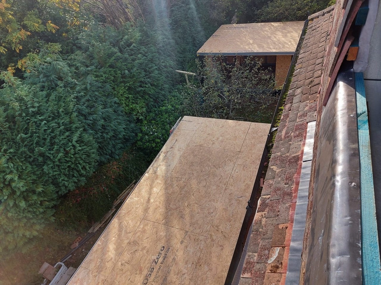 Extension - Warren Avenue Gallery Image 14