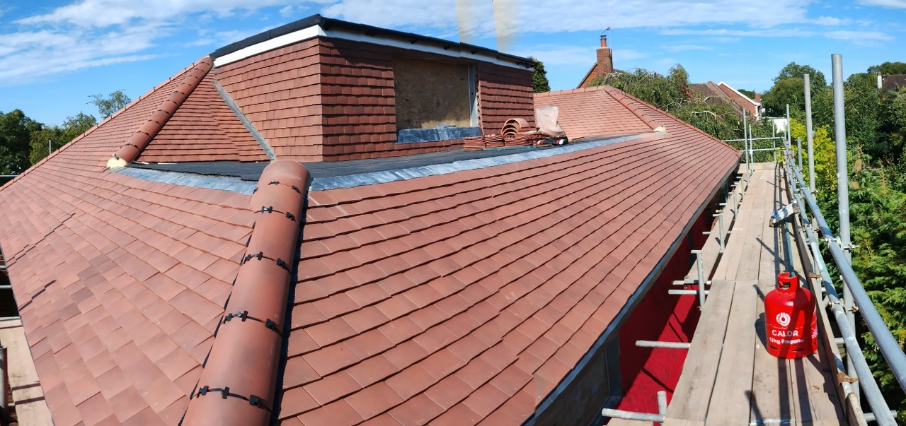 Extension - Warren Avenue Gallery Image 16