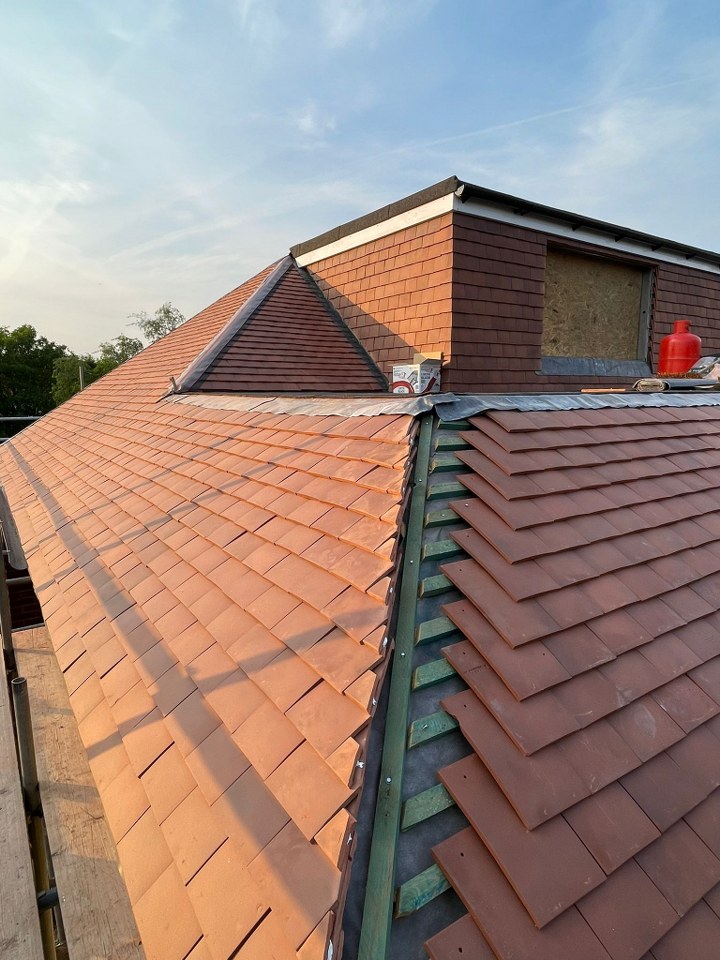 Extension - Warren Avenue Gallery Image 30