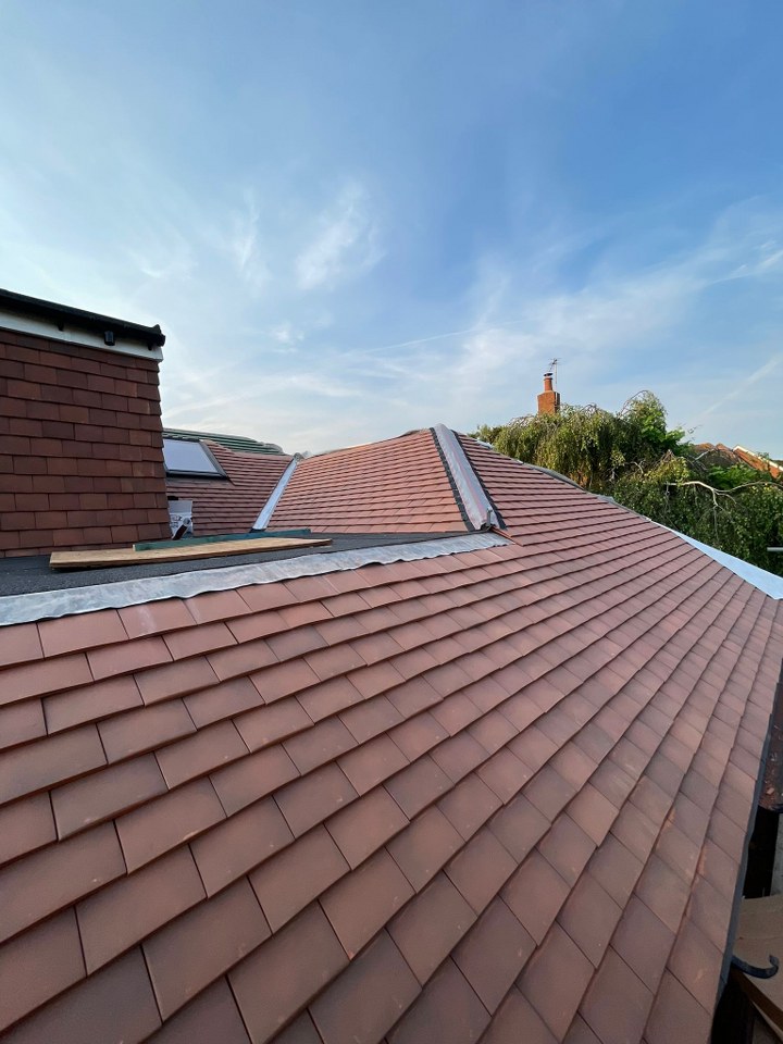 Extension - Warren Avenue Gallery Image 34