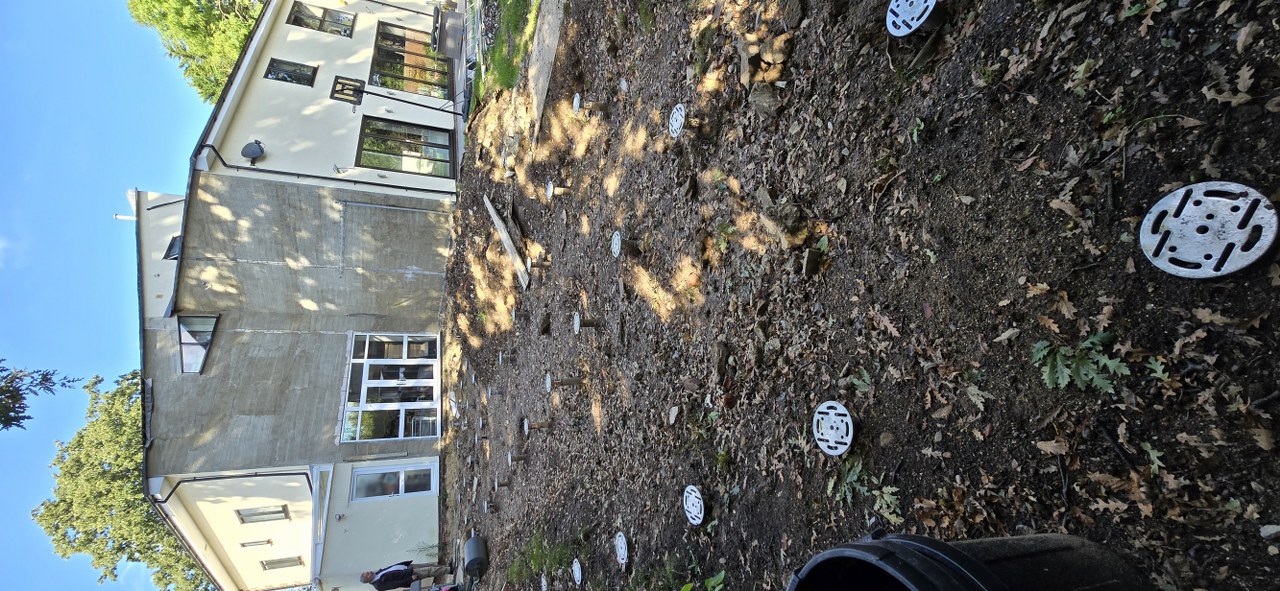 Worsley Bridge Road, Sydenham Gallery Image 22