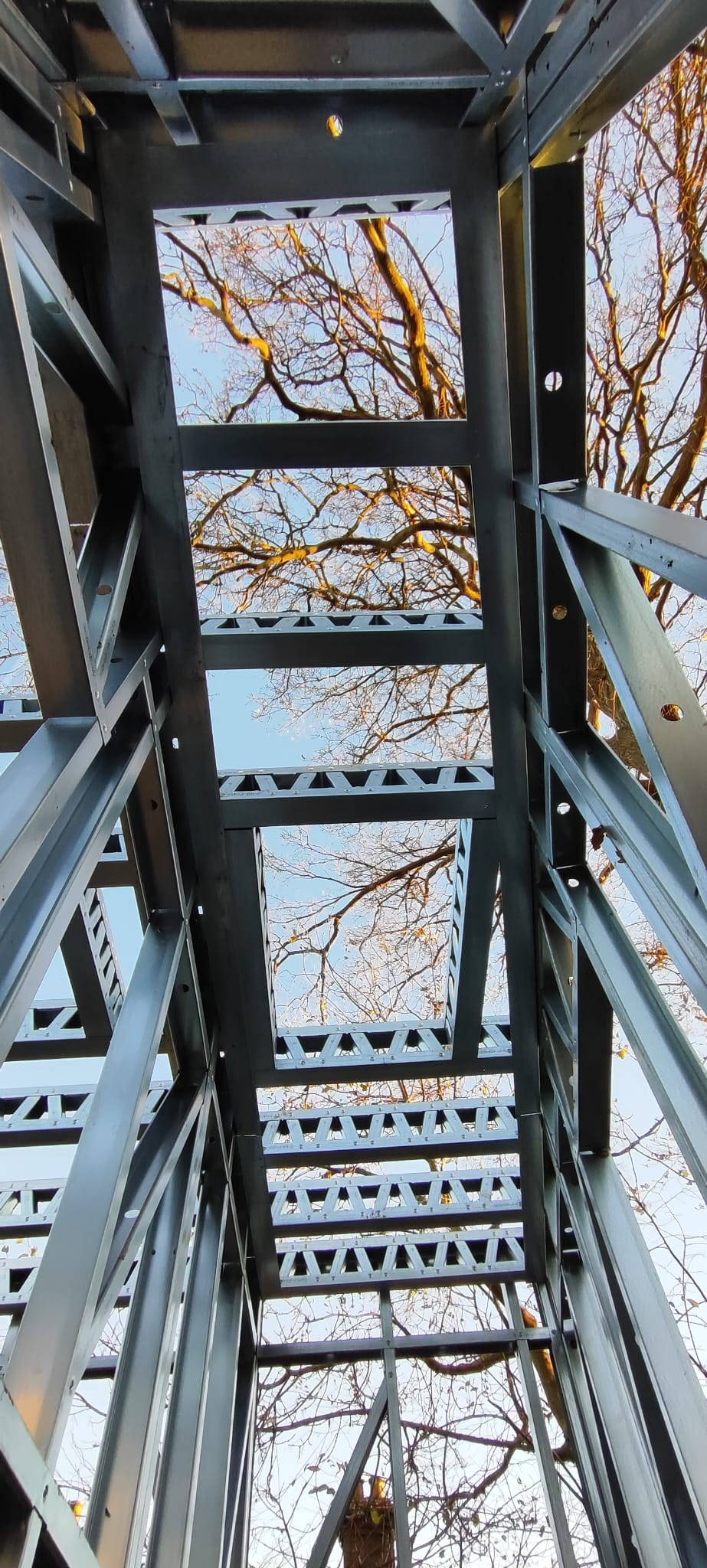 3 Hill Drive Gallery Image 8