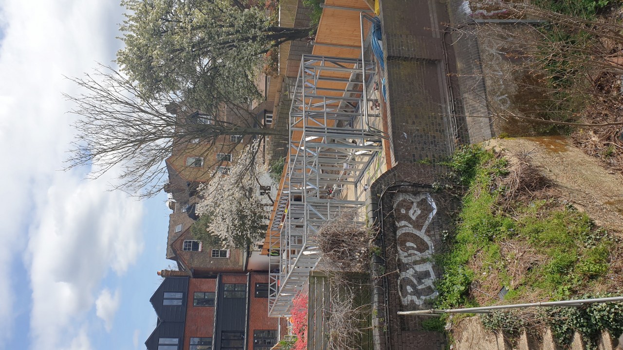 Conyers Road Bungalow - NEW BUILD Gallery Image 9